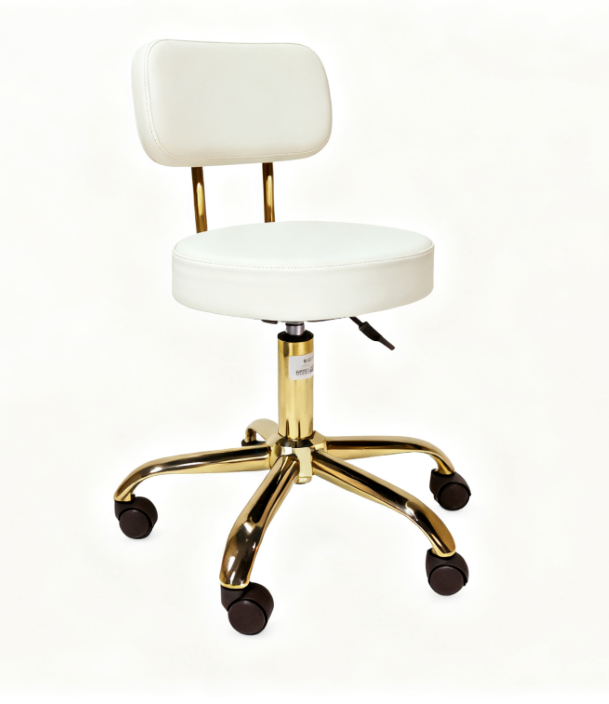 BeautéSync® Professional Backrest Stool