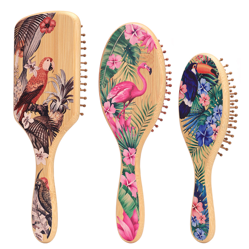 air cushion wooden hairbrush set tilted