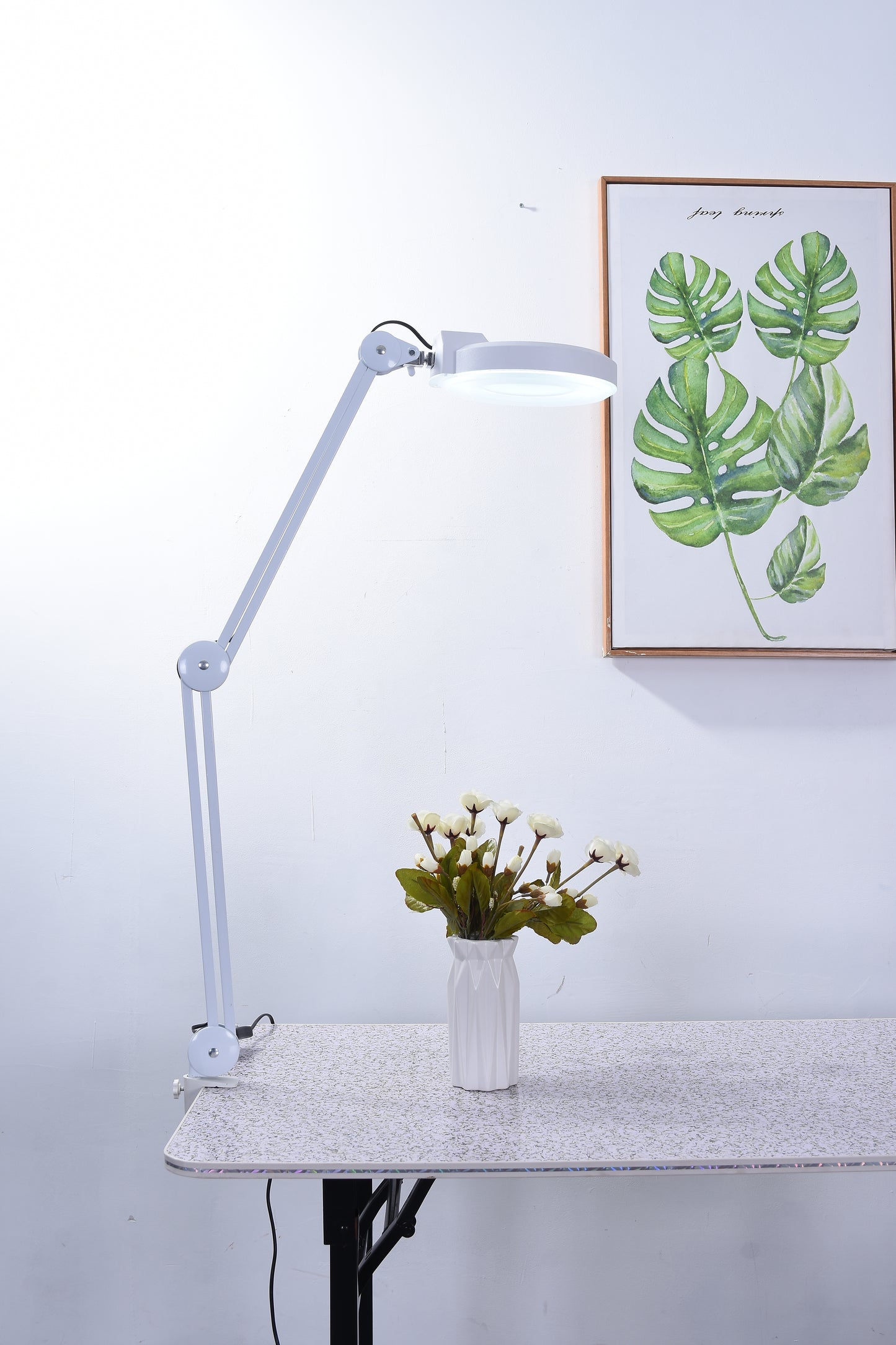 BeautéSync® LED Magnifying Lamp Clamp