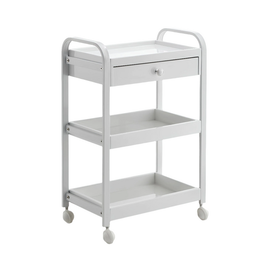 Multi-purpose storage cabinet trolley