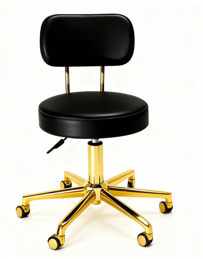 BeautéSync® Professional Backrest Stool