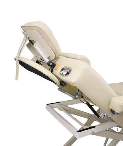 BeautéSync® Premium Professional One-Motor Four-Section Electric Beauty & Massage & Facial & Spa Treatment Bed (Black/Beige)