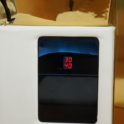 BeautéSync® Electric Treatment Bed control panel detail view – close-up of smart control buttons for height and backrest adjustment