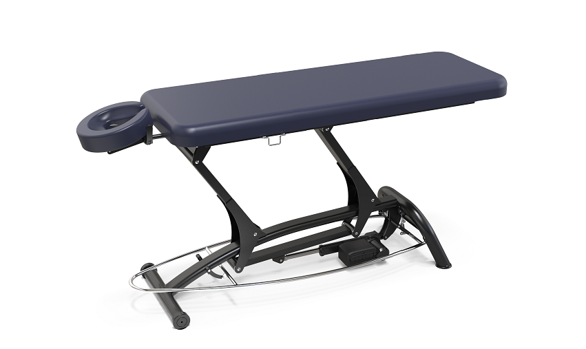 professional treatment table goodwill