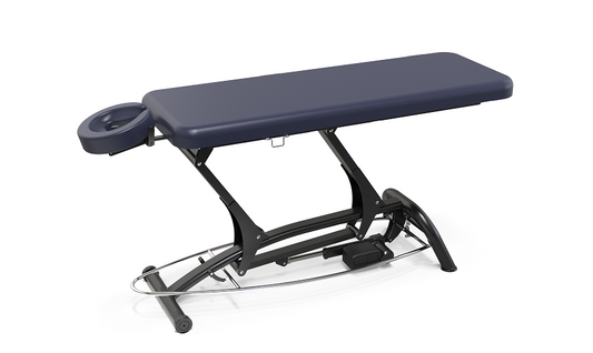 professional treatment table goodwill