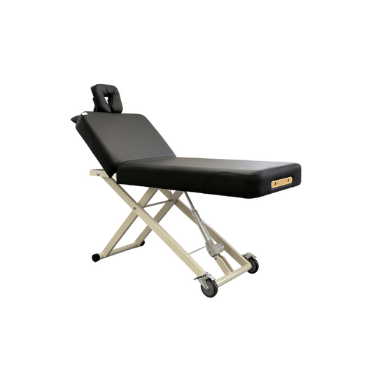 BeautéSync® Premium Professional One-Motor Two-Section Electric Beauty & Massage & Facial & Spa Treatment Bed (Black/Beige)